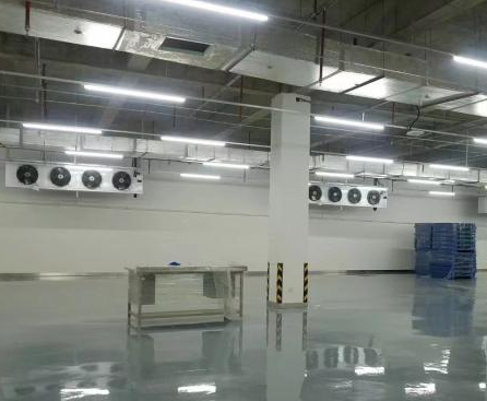 建造冷库能让你一年赚多少钱