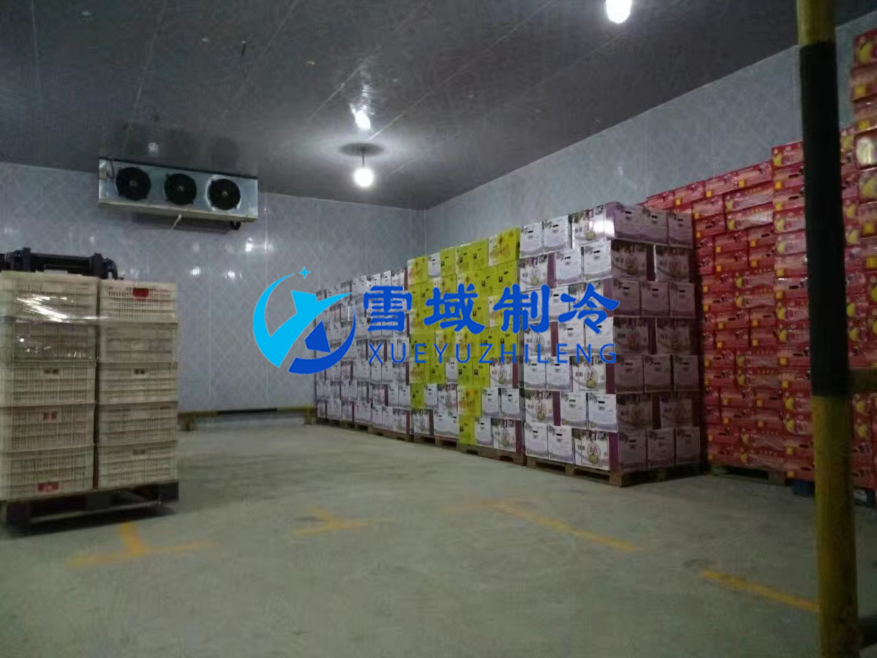 南京某水果公司水果冷库现场图片