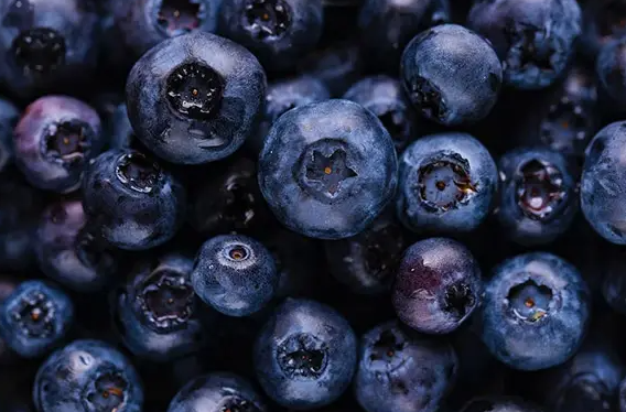 影响蓝莓保鲜冷库造价的因素有哪些