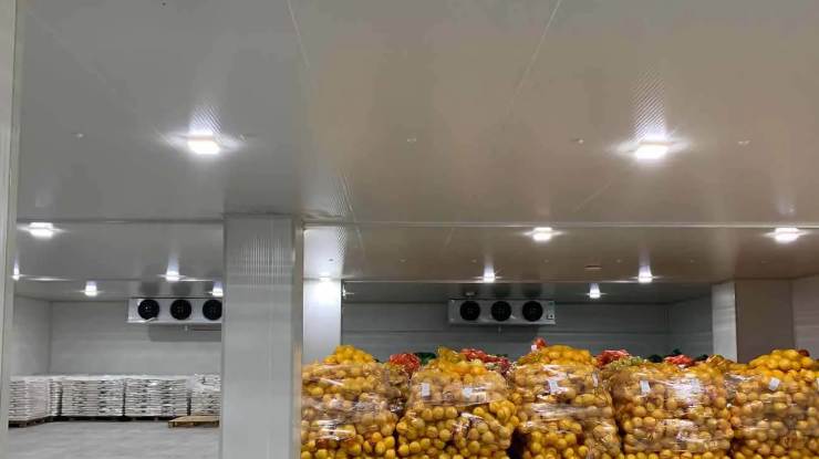 果蔬冷库工程建造项目解决方案