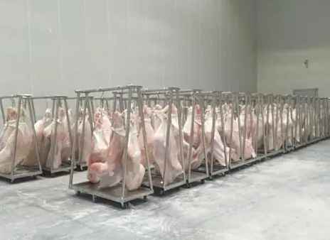 安装500立方猪肉冷冻库需要多少钱