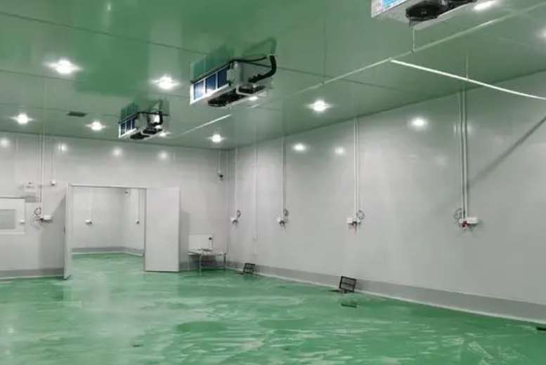 建造500吨冷库要多少钱费用