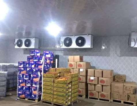  深圳建造一个100平米水果冷库大约需要多少钱