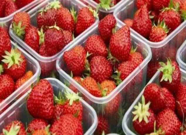 建20平米草莓小型冷库造价多少钱