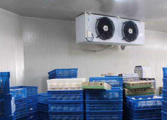 北京建造一个100平米鱼类冷冻库多少钱