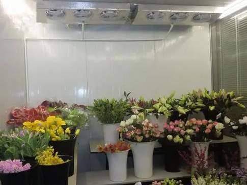 安装一个花店冷库大约需要多少钱