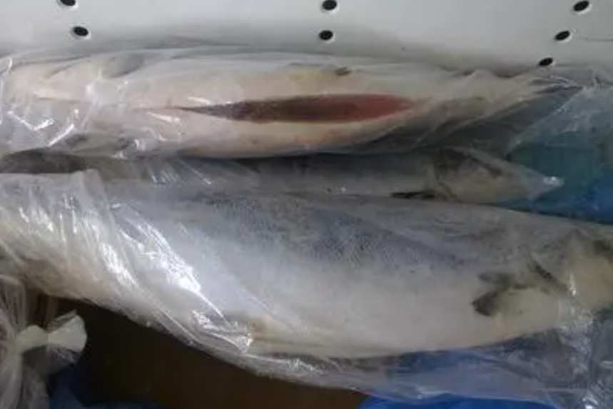 三文鱼存储在冷藏库温度多少度适宜