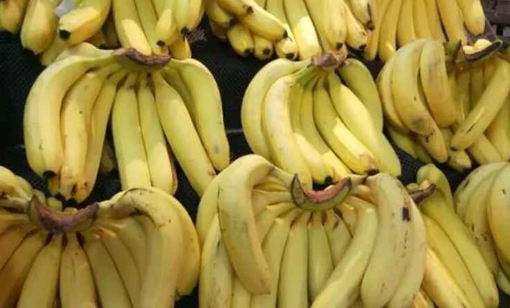 香蕉水果冷藏库能保鲜多久