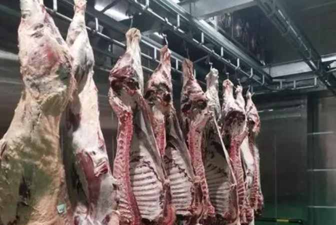 肉类排酸冷库温度及技术要求