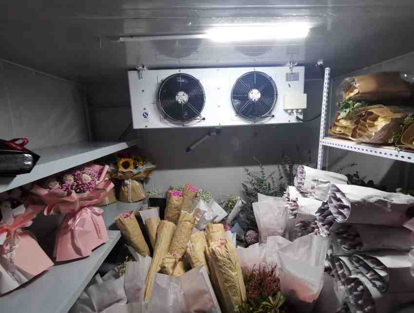 冷库鲜花老是发霉怎么回事