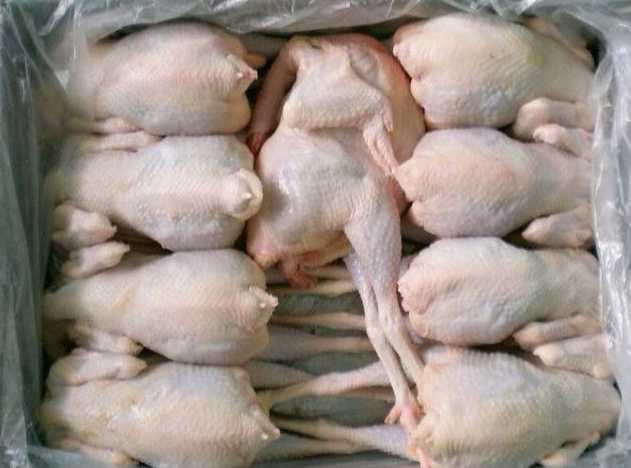 鸡肉在冷冻库里可以放多久