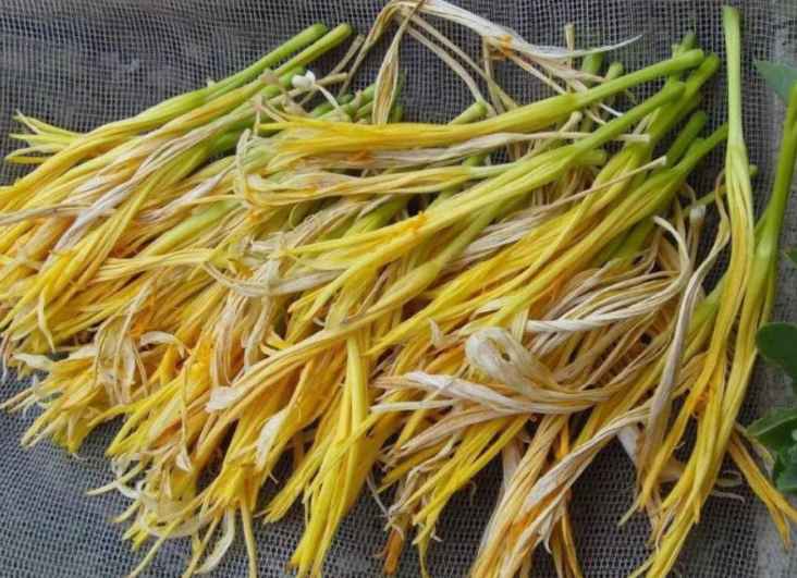 黄花菜冷库存储温度大概多少度