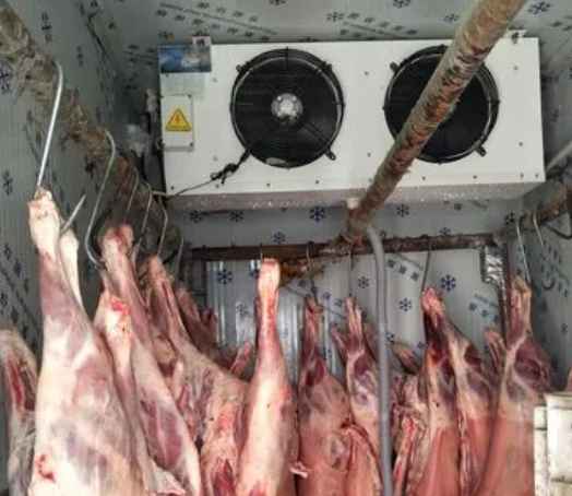 建1000平米猪肉冷藏库大约多少钱