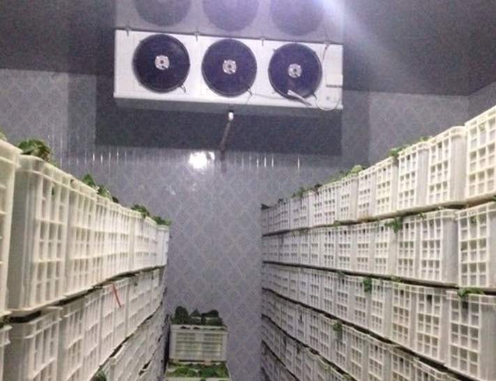 建500平米蔬菜保鲜冷库要多少钱