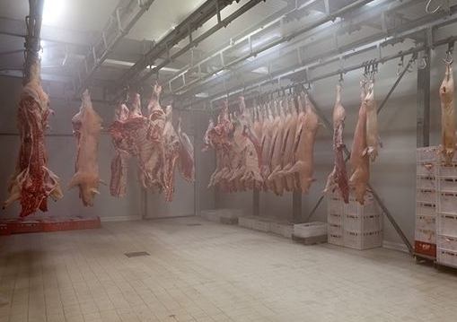 建一个1500平米猪肉冷库多少钱