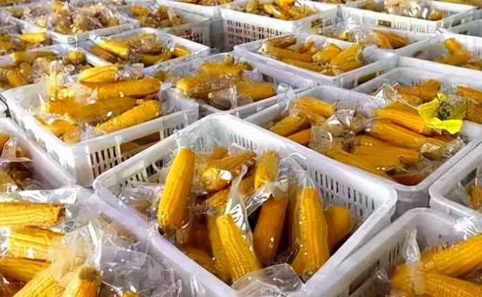 大量玉米除了冷库保鲜储存，还有其他方法吗
