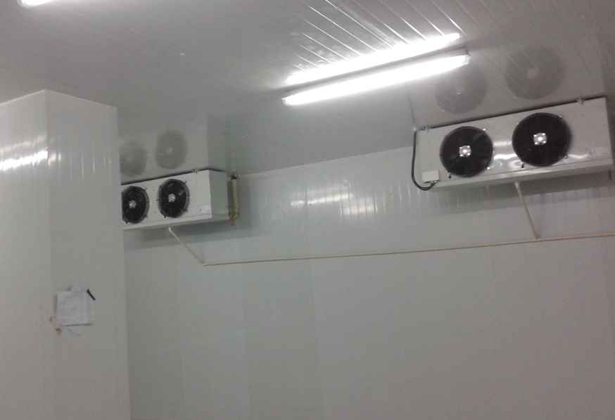 上海地区小型保鲜冷库建造费用多少钱？