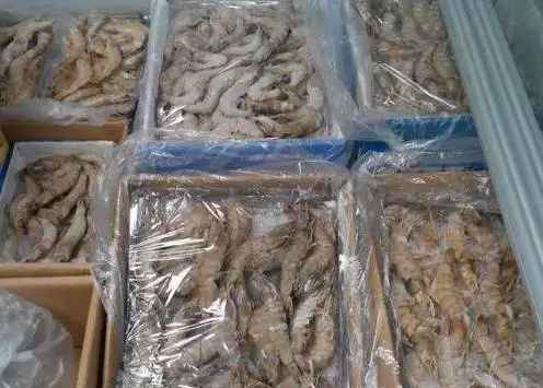 海鲜冷冻库每平方米的造价多少钱